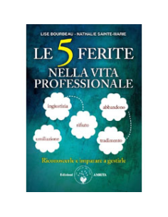 Le 5 Ferite nella Vita Professionale
