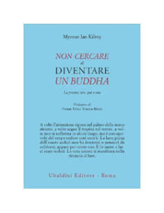 Non Cercare di Diventare un Buddha