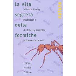 La Vita Segreta delle FormichePostfazione di Roberto Visicchio e Francesco Le Moli