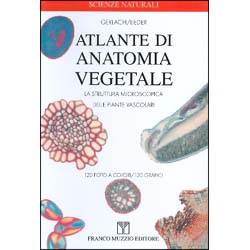 Atlante di Anatomia VegetaleLa struttura microscopica delle piante vascolari