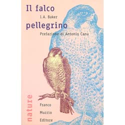 Il Falco PellegrinoPrefazione di Antonio Canu
