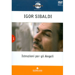 Istruzioni per gli angeli(Libro+DVD)