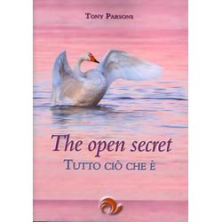 The Open Secret - Tutto ciò che è