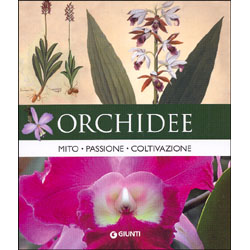 Orchideemito passione coltivazione