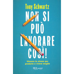 Non Si Può Lavorare CosìVincere lo stress per produrre e vivere meglio