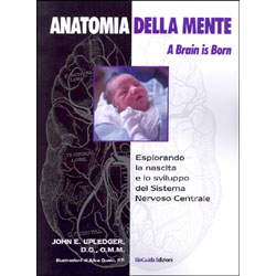 Anatomia della Mente -  A Brain is Bornesplorando la nascita e lo sviluppo del sistema nervoso centrale