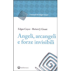 Angeli, Arcangeli e Forze Invisibili Crisi personale, karma e reincarnazione alla luce dell'evoluzione