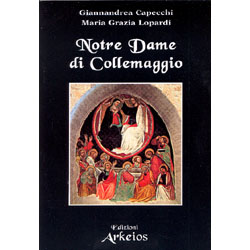 Celestino V e il Tesoro dei Templari Saggio-romanzo