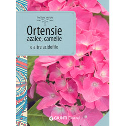 Ortensie, Azalee, Camelie