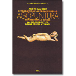 Introduzione all'agopuntura