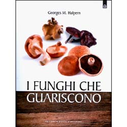 I Funghi Che Guariscono