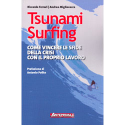 Tsunami SurfingCome vincere le sfide della crisi con il proprio lavoro