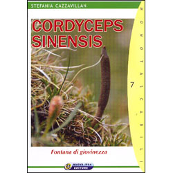 Cordyceps SinensisFontana di giovinezza