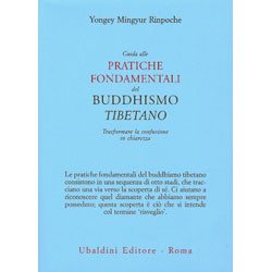 Guida alle Pratiche Fondamentali del Buddismo TibetanoTrasformare la confusione in chiarezza