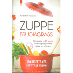 Zuppe BruciagrassiDimagrire in 15 giorni con un programma facile ed efficace - 100 ricette vegetariane per tutte le stagioni