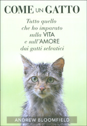 Come un GattoTutto quello che ho imparato sulla vita e sull'amore dai gatti selvatici