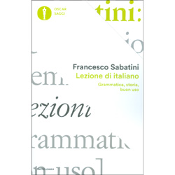 Lezione di ItalianoGrammatica, storia, buon uso