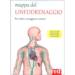 Mappa del LinfodrenaggioPer medici, massaggiatori, estetisti