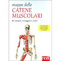 Mappe delle Catene MuscolariPer osteopati, massaggiatori, medici