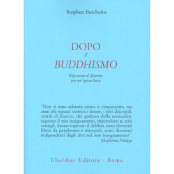 Dopo il BuddhismoRipensare il dharma per un'epoca laica