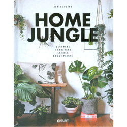 Home JungleDecorare e arredare la casa con le piante