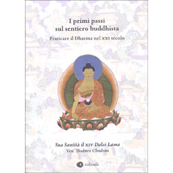 I Primi Passi sul Sentiero BuddhistaPratica il Dharma nel XXI secolo