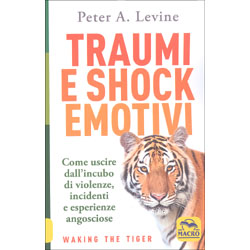 Traumi e Shock EmotiviCome uscire dall'incubo di violenze, incidenti e esperienze angosciose