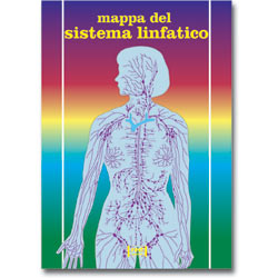 Mappa del sistema linfatico