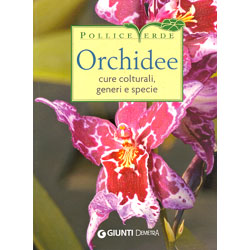 OrchideeCure colturali, generi e specie