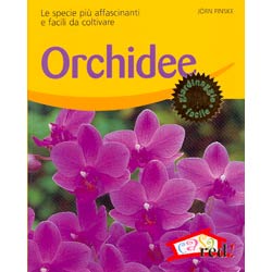 Orchideele specie più affascinanti e semplici da coltivare