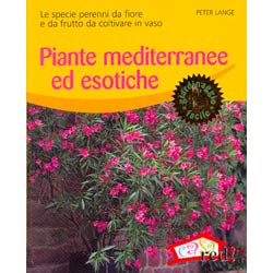 Piante mediterranee ed esotichele specie perenni da fiore e da frutto da coltivare in vaso