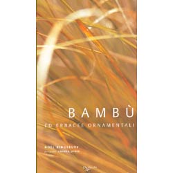 Bambù ed erbacee ornamentali