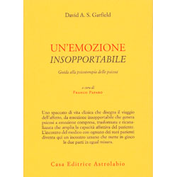 Un'Emozione InsopportabileGuida alla psicoterapia delle psicosi