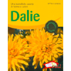 Dalie<br>Una incredibile varietà di forme e colori