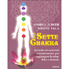 I Sette Chakra<br />Tecniche ed esercizi di armonizzazione per raggiungere la salute fisica e mentale