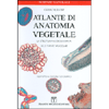 Atlante di Anatomia Vegetale<br />La struttura microscopica delle piante vascolari