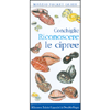 Conchiglie<br />Riconoscere le cipree