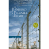 Il Bambino con il Pigiama a Righe<br />Libro+DVD