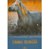 Cavalli Selvaggi