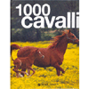 1000 Cavalli