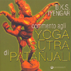 Commento agli Yoga Sutra di Patanjali<br />