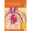 Audiocorso di Anatomia per operatori della salute<br />