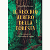 Il vecchio albero della foresta