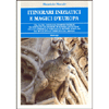 Itinerari Iniziatici e Magici d'Europa<br />da Santago a Rennes-Le -Chateaux, dalla cattedrale perfetta ai misteri templari