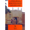 Arichitettura MAGICA<br />le facciate ricamate di Zinder, capitale degli haussa del Niger
