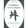 L'Infinito in un attimo<br />La meditazione a diade nell'intensivo di illuminazione