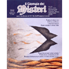 Il Giornale dei Misteri - Aprile 2014 - n. 504<br />per vedere al di là delle apparenze