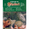 Il Giornale dei Misteri - Giugno 2014 - n. 506<br />per vedere al di là delle apparenze