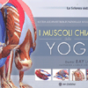 I Muscoli Chiave dello Yoga<br />Guida all'anatomia funzionale nello yoga