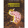 Nudibranchi del Mediterraneo<br />